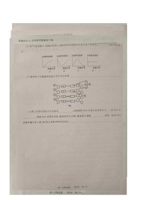 河南省信阳市普通高中2023-2024学年高一下学期4月期中教学质量检测生物试题