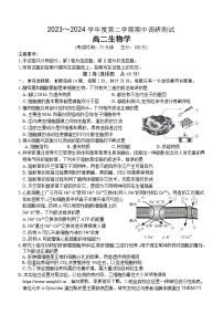 江苏省泰州市泰兴市2023-2024学年高二下学期期中考试生物试题