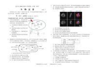 2024届北京市昌平区高三下学期二模生物试卷