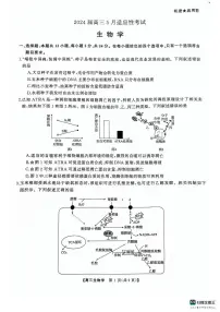 湖南省名校联盟2024届高三下学期5月适应性考试生物试卷（PDF版附解析）