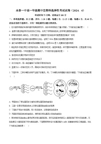 福建省泉州市永春县第一中学2023-2024学年高一下学期4月期中考试生物试题（原卷版+解析版）