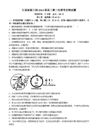 江西省新八校2024年高三第二次联考生物试题(无答案)