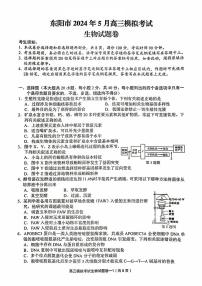 浙江省东阳市2023-2024学年高三下学期5月适应性考试生物试卷