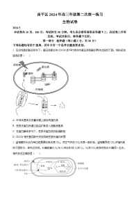 2024届北京市昌平区高三下学期二模生物试卷（原卷版+解析版）