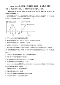 广东省江门市新会第一中学2023-2024学年高一下学期期中考试生物试题（原卷版+解析版）