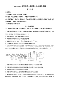 陕西省西安市期中联考2023-2024学年高二下学期4月期中生物试题（原卷版+解析版）