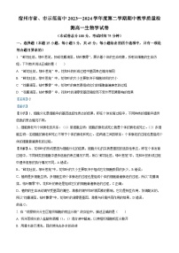 2024宿州省、示范高中高一下学期期中考试生物含解析