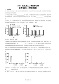 2024北京高三二模生物试题分类汇编：遗传与进化（非选择题）