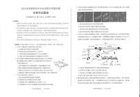 2024芜湖高三下学期二模生物试题扫描版含答案