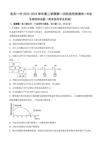 2024安庆一中高一下学期期中考试生物PDF版含答案（可编辑）