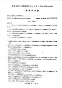 湖北省高中名校联盟2024届高三第四次联合测评生物试卷（附参考答案）