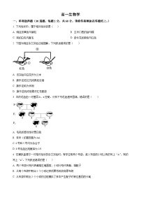 天津市南开中学滨海生态城学校2023-2024学年高二下学期期中考试生物试题（原卷版+解析版）