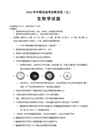 2024届广东省梅州市丰顺县高三下学期高考诊断（五）生物试题