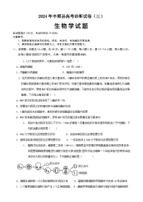 2024届广东省梅州市丰顺县高三下学期高考诊断试卷（三）生物试题