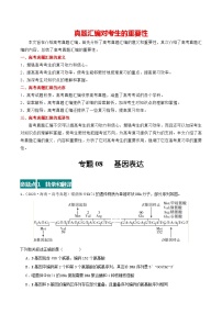 专题08 基因表达--三年（2021-2023）高考生物真题分项汇编（全国通用）