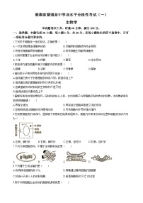 湖南省2024年普通高中学业水平合格性模拟考试生物仿真卷（一）试卷（Word版附答案）