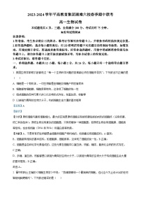 湖南省平高教育集团六校2023-2024学年高一下学期期中联考生物试卷（Word版附解析）