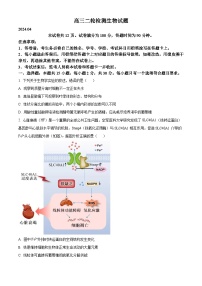 江苏省泰安市2023—2024学年高三下学期二模考试生物试题（原卷版+解析版）