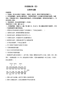 甘肃省甘南藏族自治州卓尼县柳林中学2023-2024学年高二下学期期中生物试卷（原卷版+解析版）