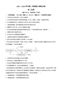 江苏省宿迁市泗阳县2023-2024学年高二下学期4月期中生物试题（原卷版+解析版）