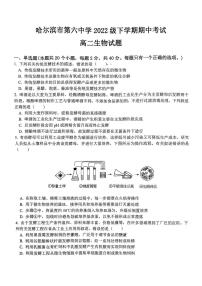 2024年哈尔滨市第六中学高二（下）期中生物试题及答案