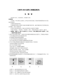 2024届吉林省长春市高三下学期质量监测（四）生物试题