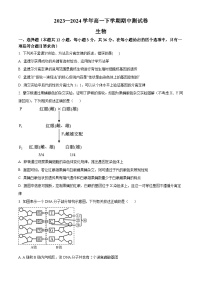 河南省南阳市部分学校2023-2024学年高一下学期期中测试生物试题（原卷版+解析版）