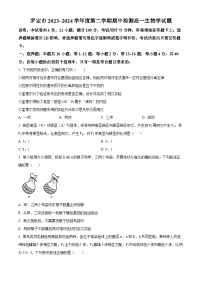 广东省云浮市罗定市2023-2024学年高一下学期期中考试生物试题（原卷版+解析版）