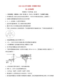 江苏省无锡市2023_2024学年高二生物上学期期中试题含解析