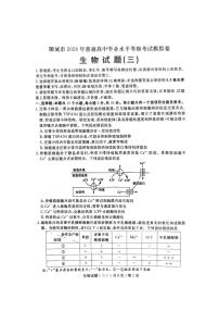 2024届山东省聊城市高三三模生物试题