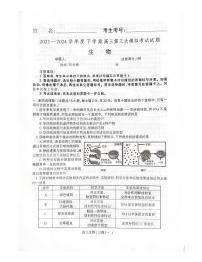 2024届辽宁省沈阳市第二中学高三三模生物试题