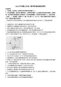 安徽省马鞍山市2024届高三下学期二模生物试卷（Word版附答案）