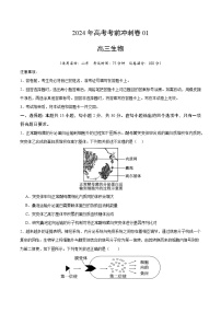 2024年高考生物考前冲刺卷01——山东适用（原卷版）