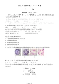 2023北京大兴高一(下)期中生物试卷及答案
