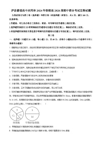 四川省泸州市泸县2023-2024学年高一下学期4月期中生物试题（原卷版+解析版）