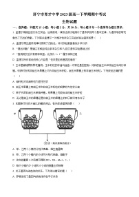 山东省济宁市任城区育才中学2023-2024学年高一下学期期中考试生物试卷（原卷版+解析版）