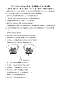 山东省济宁市育才中学2023-2024学年高一下学期期中考试生物试卷（原卷版+解析版）