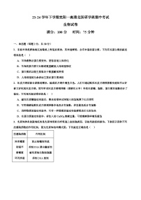 河南省洛阳市宜阳县第一高级中学2023-2024学年高一下学期期中考试生物试卷