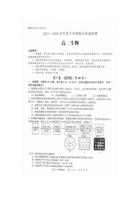 河南省三门峡市2023-2024学年高二下学期5月期末生物试题