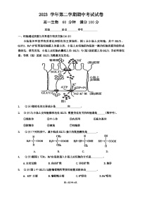 上海市黄浦区大同中学2023-2024学年高一下学期5月期中生物试题