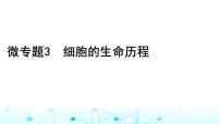 2024届高考生物考前冲刺素能提升1细胞微专题3细胞的生命历程课件