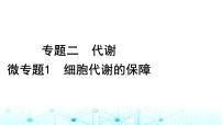 2024届高考生物考前冲刺素能提升2代谢微专题1细胞代谢的保障课件