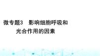 2024届高考生物考前冲刺素能提升2代谢微专题3影响细胞呼吸和光合作用的因素课件