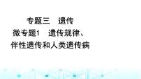 2024届高考生物考前冲刺素能提升3遗传微专题1遗传规律、伴性遗传和人类遗传病课件