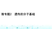 2024届高考生物考前冲刺素能提升3遗传微专题2遗传的分子基础课件