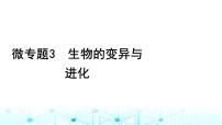 2024届高考生物考前冲刺素能提升3遗传微专题3生物的变异与进化课件