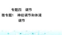 2024届高考生物考前冲刺素能提升4调节微专题1神经调节和体液调节课件