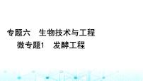 2024届高考生物考前冲刺素能提升6生物技术与工程微专题1发酵工程课件