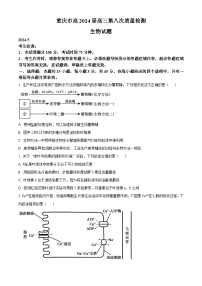 2024届重庆市南开中学校高三模拟预测生物试题（原卷版+解析版）