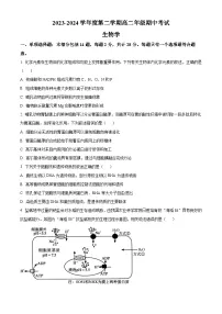 江苏省南通市海安高级中学2023-2024学年高二下学期期中考试生物试题（原卷版+解析版）